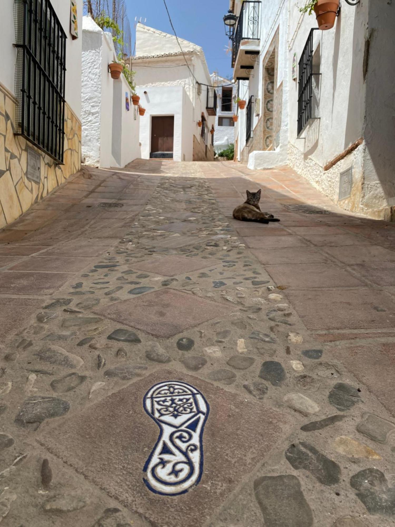 Casa De Azulejos